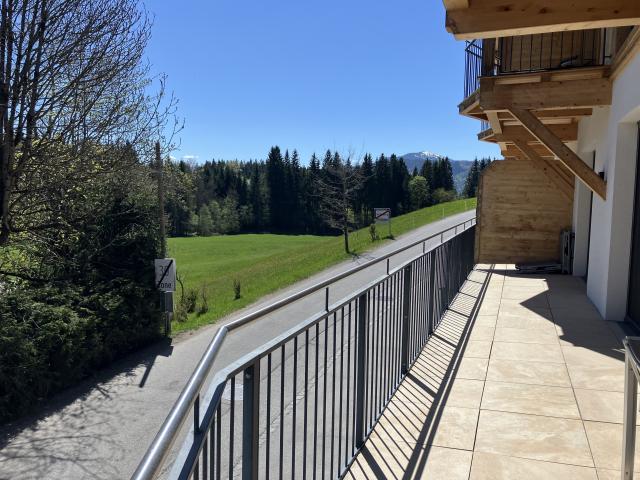Patio / Balcony