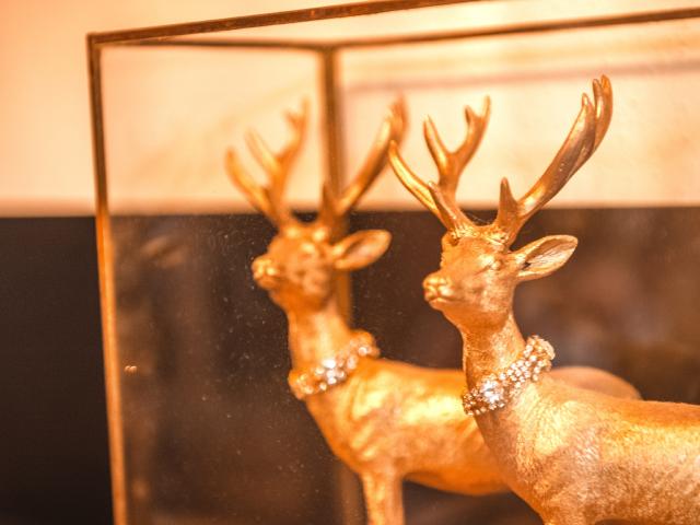 Ambiente / Nahaufnahme