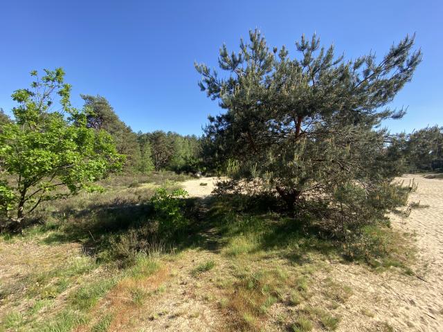 Direkte Umgebung [Sommer] (<1 km)