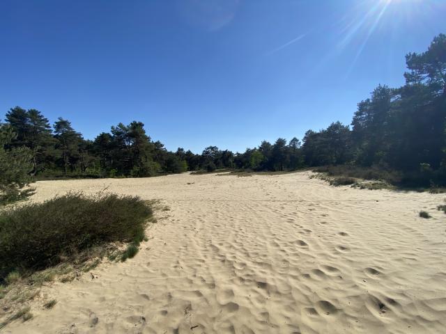 Direkte Umgebung [Sommer] (<1 km)