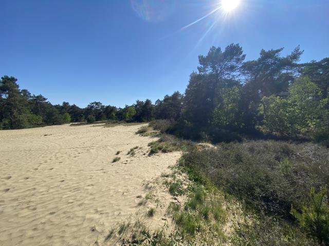 Direkte Umgebung [Sommer] (<1 km)