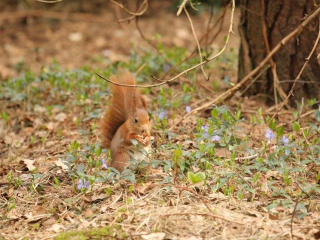 Aussicht vom Ferienhaus [Sommer]