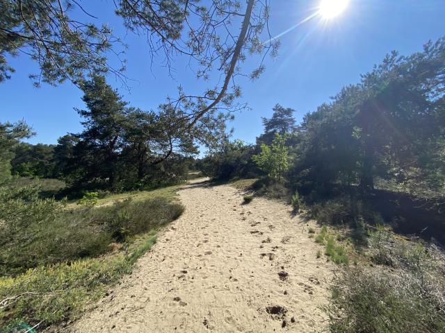 Direkte Umgebung [Sommer] (<1 km)