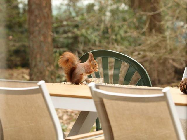 Aussicht vom Ferienhaus [Sommer]