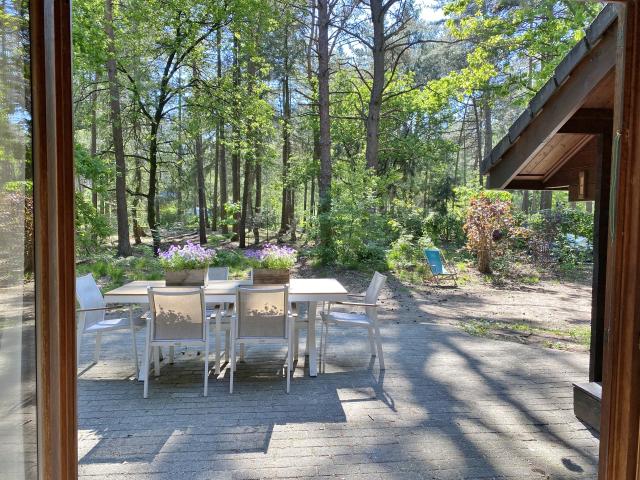 Aussicht vom Ferienhaus [Sommer]