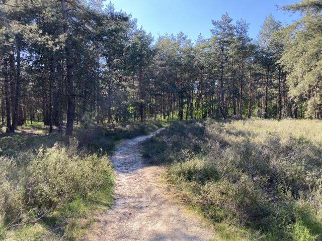 Direkte Umgebung [Sommer] (<1 km)