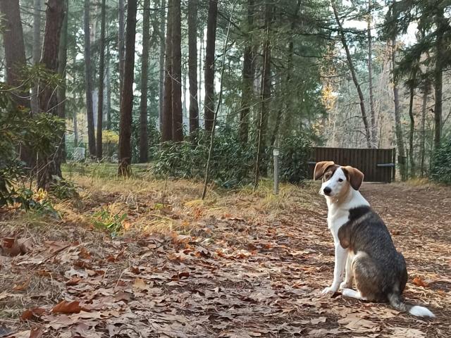 Umgebung [Winter] (1-5 km)