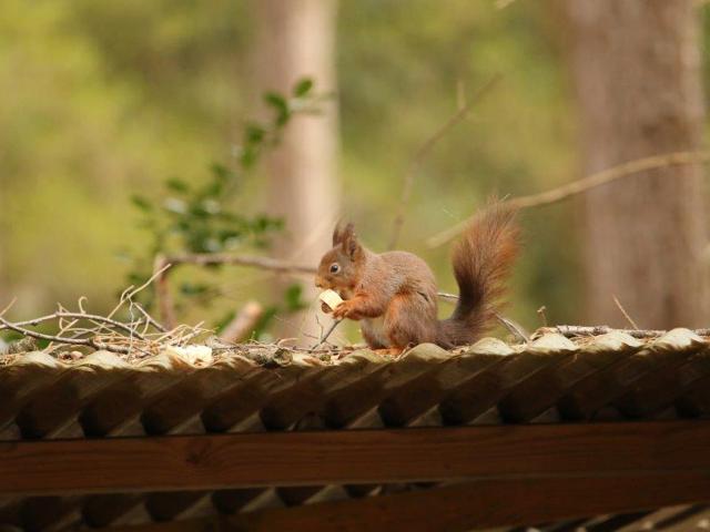 Aussicht vom Ferienhaus [Sommer]