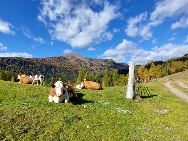 Surroundings [summer] (1-5 km)