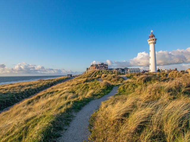 Immediate Surroundings (<1 km)