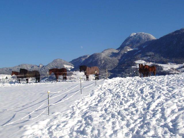 View from Holiday Home [winter]