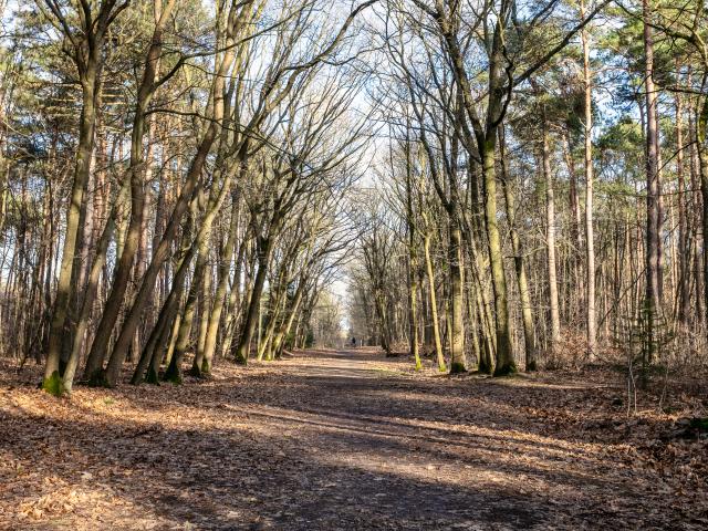 Surroundings [summer] (1-5 km)