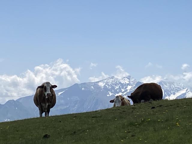 Umgebung [Sommer] (1-5 km)