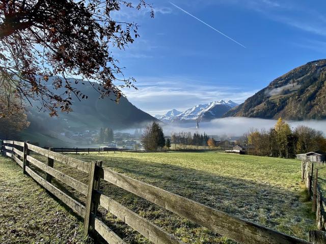 Region [summer] (>5 km)