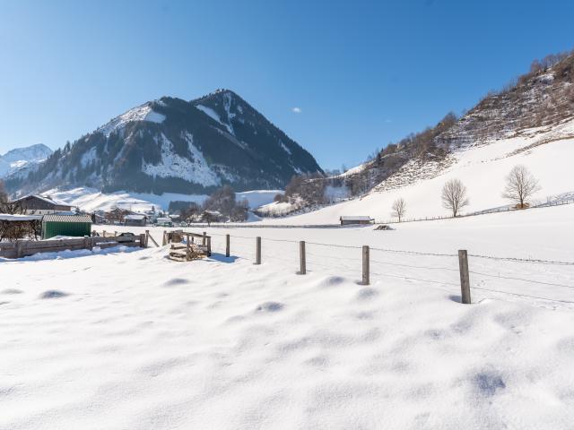 View from Holiday Home [winter]