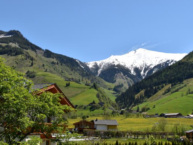 View from Holiday Home [summer]