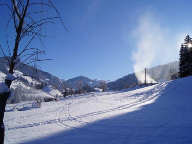 Surroundings (1-5 km)