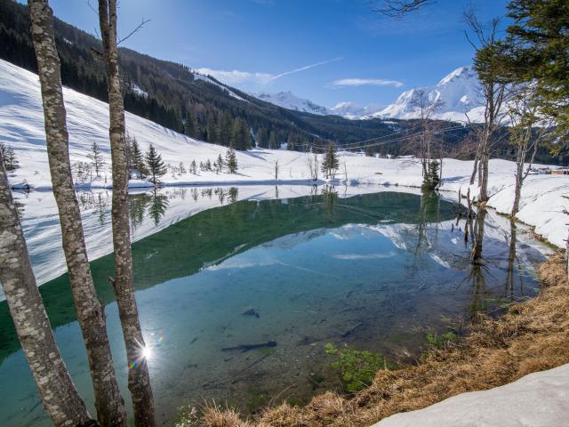 Immediate Surroundings (<1 km)