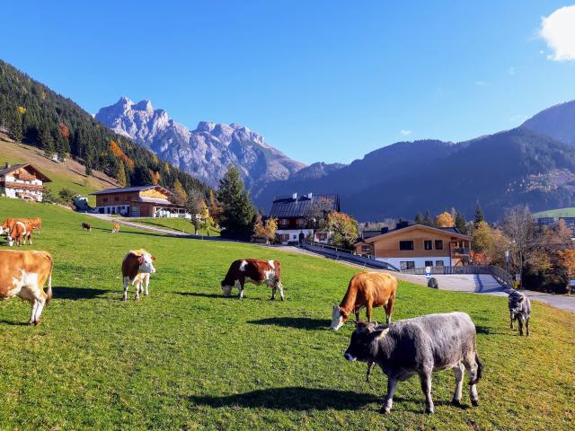 Direkte Umgebung (<1 km)