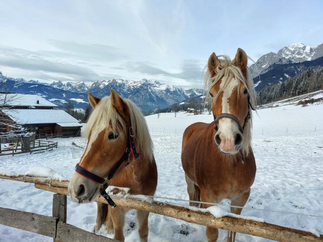 Direkte Umgebung (<1 km)