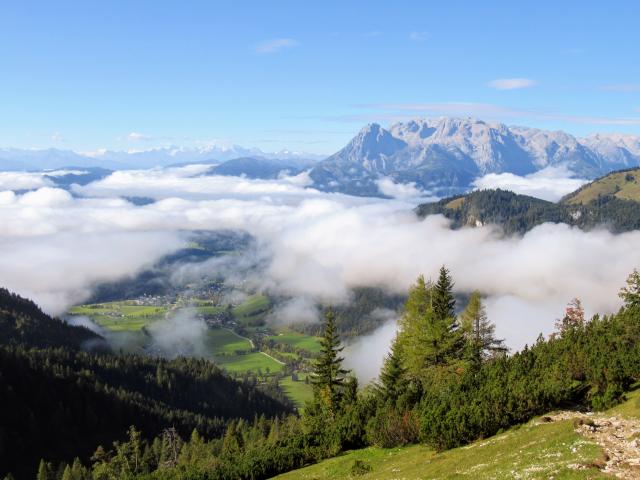 Direkte Umgebung (<1 km)