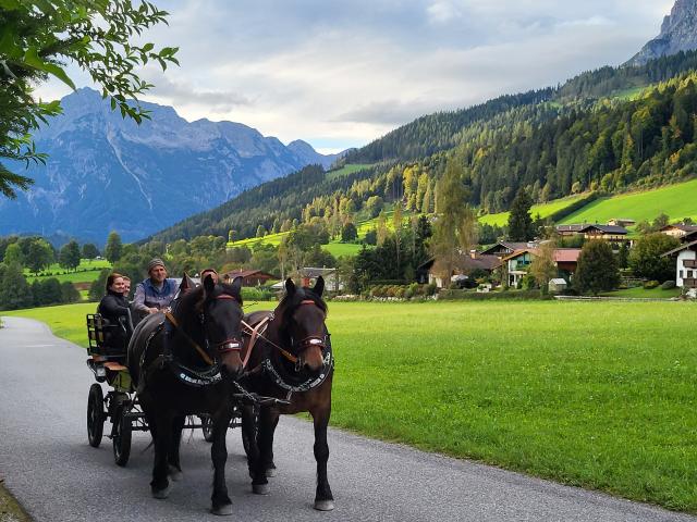 Direkte Umgebung (<1 km)