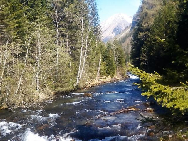 Surroundings (1-5 km)