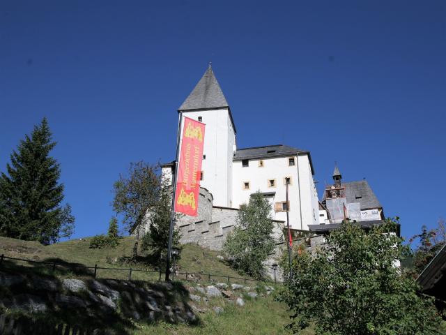 Immediate Surroundings (<1 km)