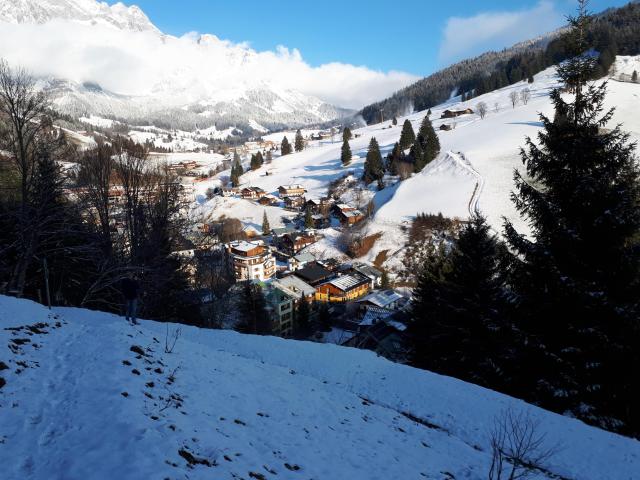 Directe omgeving (<1 km)