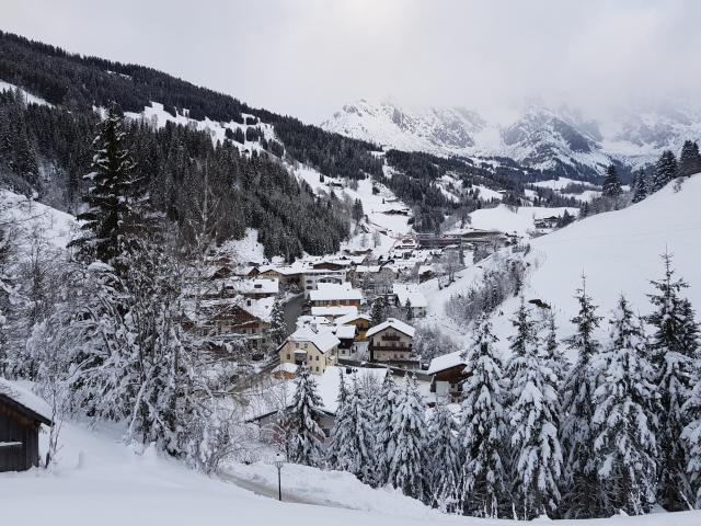 Directe omgeving (<1 km)