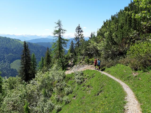 Directe omgeving (<1 km)