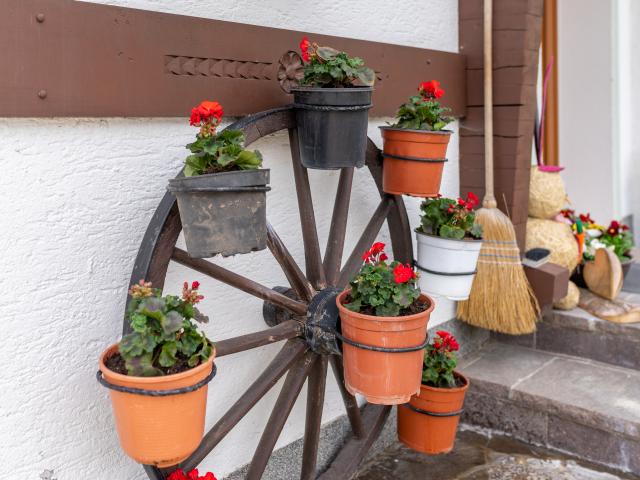 Ambiente / Nahaufnahme