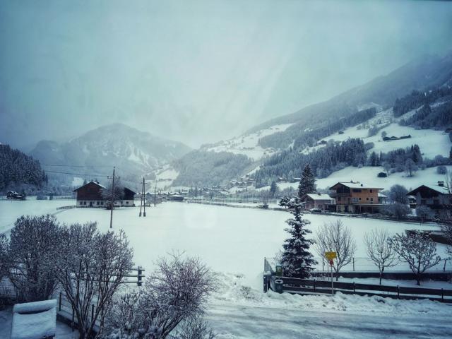 Aussicht vom Ferienhaus