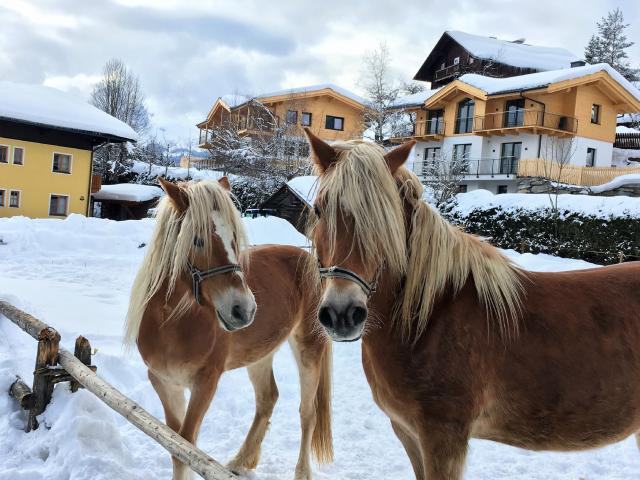 Direkte Umgebung [Winter] (<1 km)