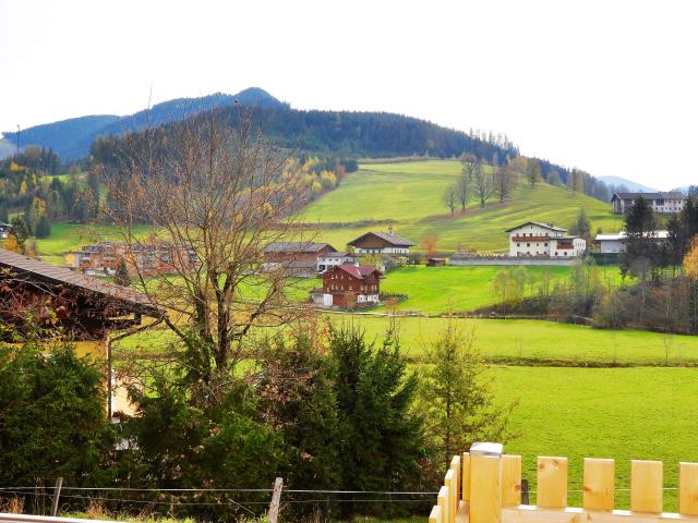 Aussicht vom Ferienhaus [Sommer]