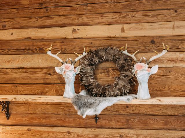 Ambiente / Nahaufnahme