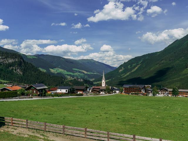 Aussicht vom Ferienhaus [Sommer]