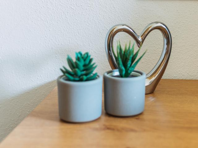 Ambiente / Nahaufnahme