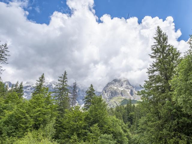 View from Holiday Home