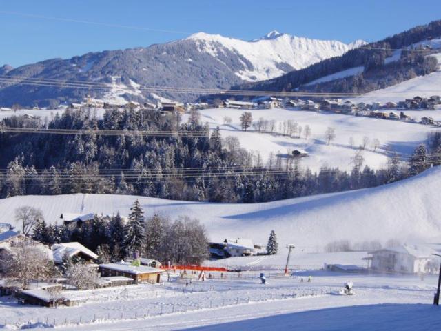 Immediate Surroundings [winter] (<1 km)