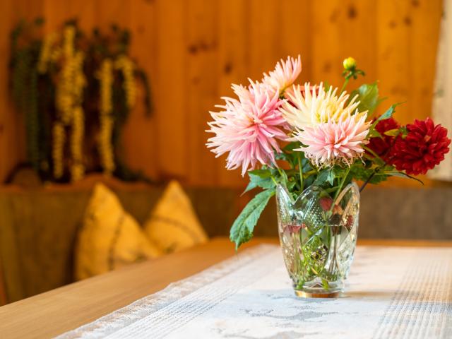 Ambiance / plan rapproché