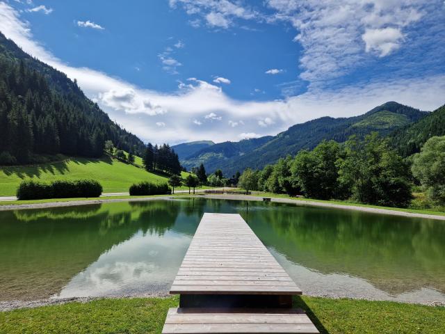 Directe omgeving (<1 km)