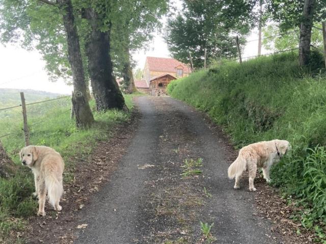 Uitzicht van vakantiehuis