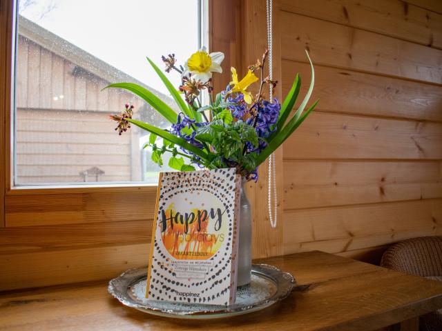 Ambiente / Nahaufnahme