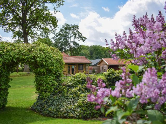 Ambiente / Nahaufnahme