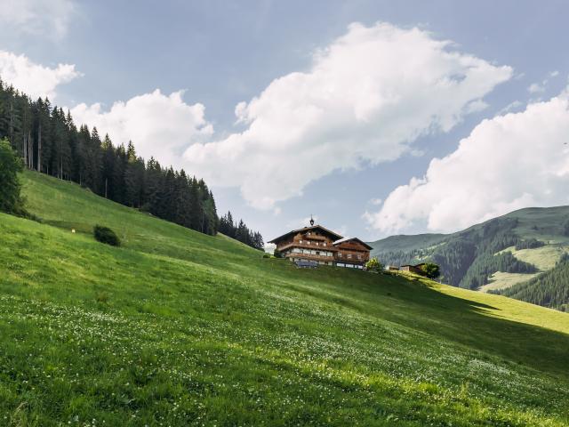 Exterieur vakantiehuis