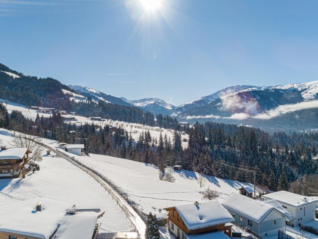 Immediate Surroundings (<1 km)