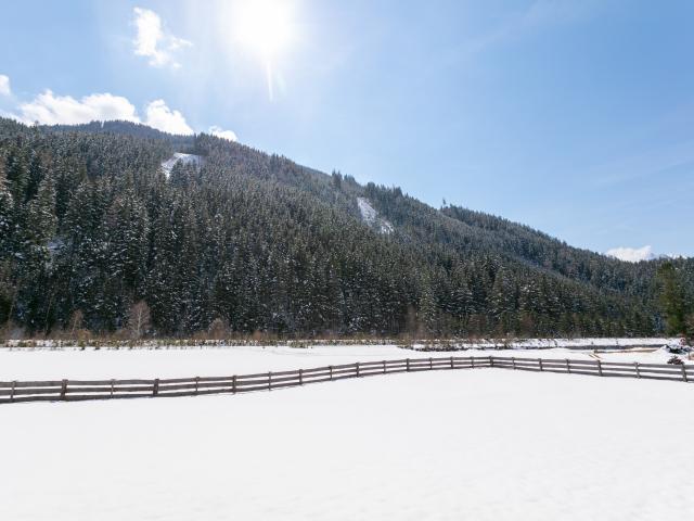 Aussicht vom Ferienhaus