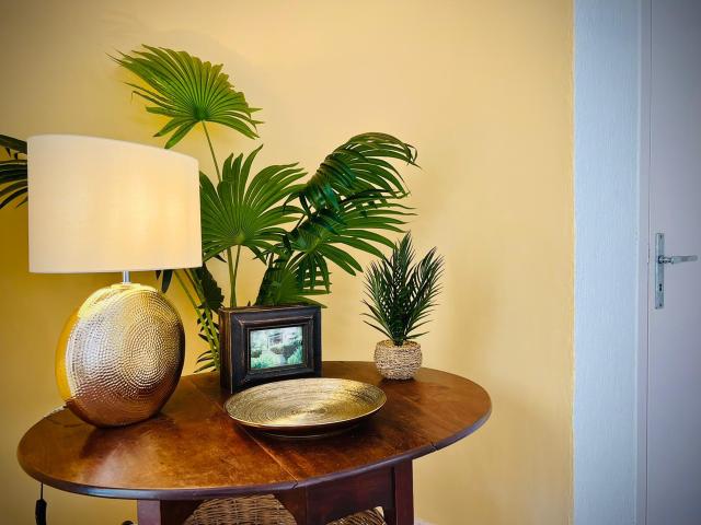 Ambiance / plan rapproché