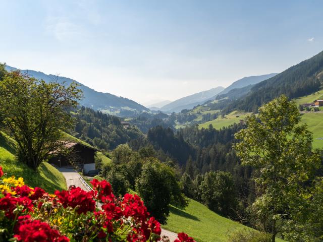 Vue de la maison de vacances [été]